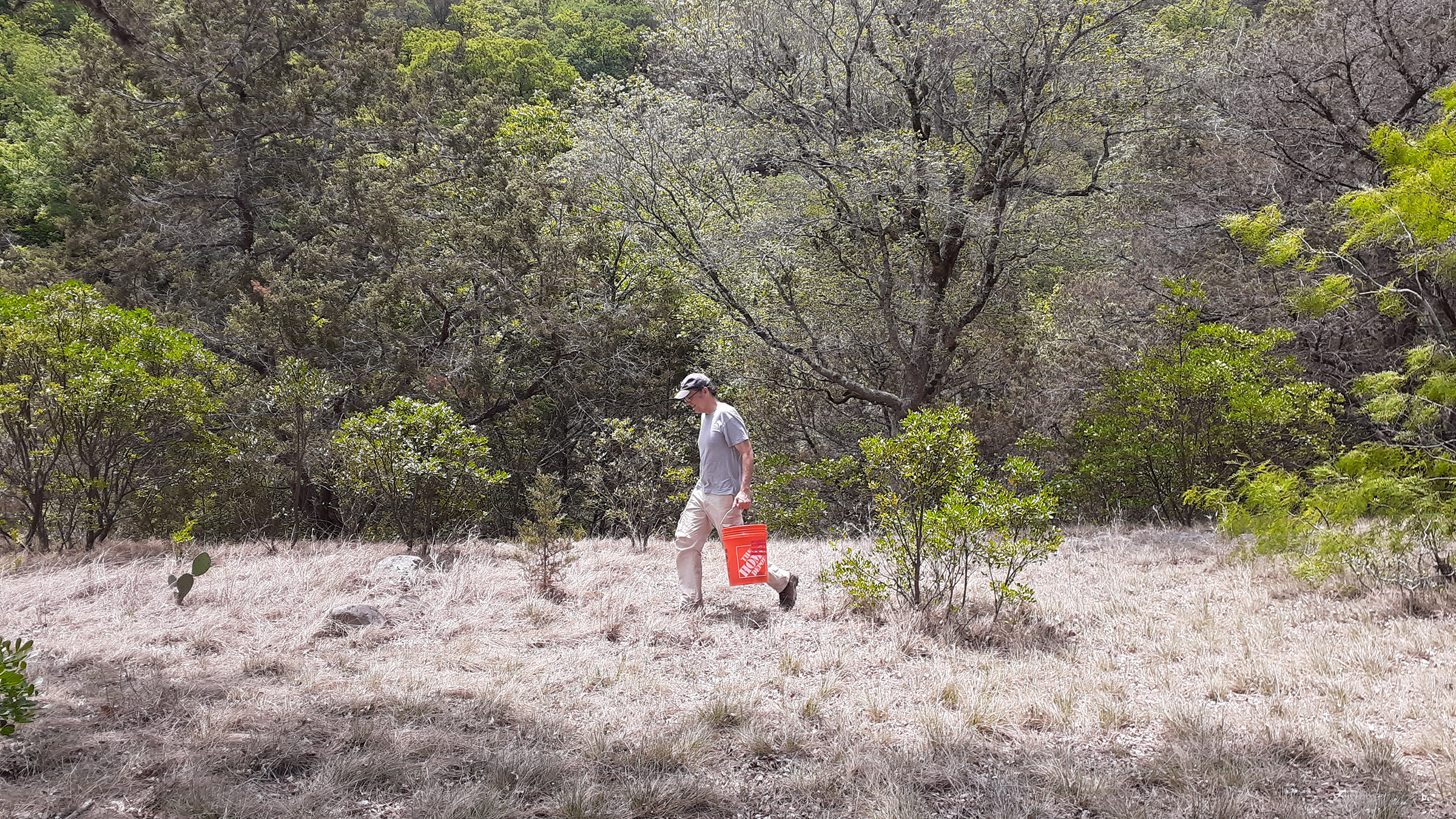 Scientist walking through grass and brush with an orange bucket