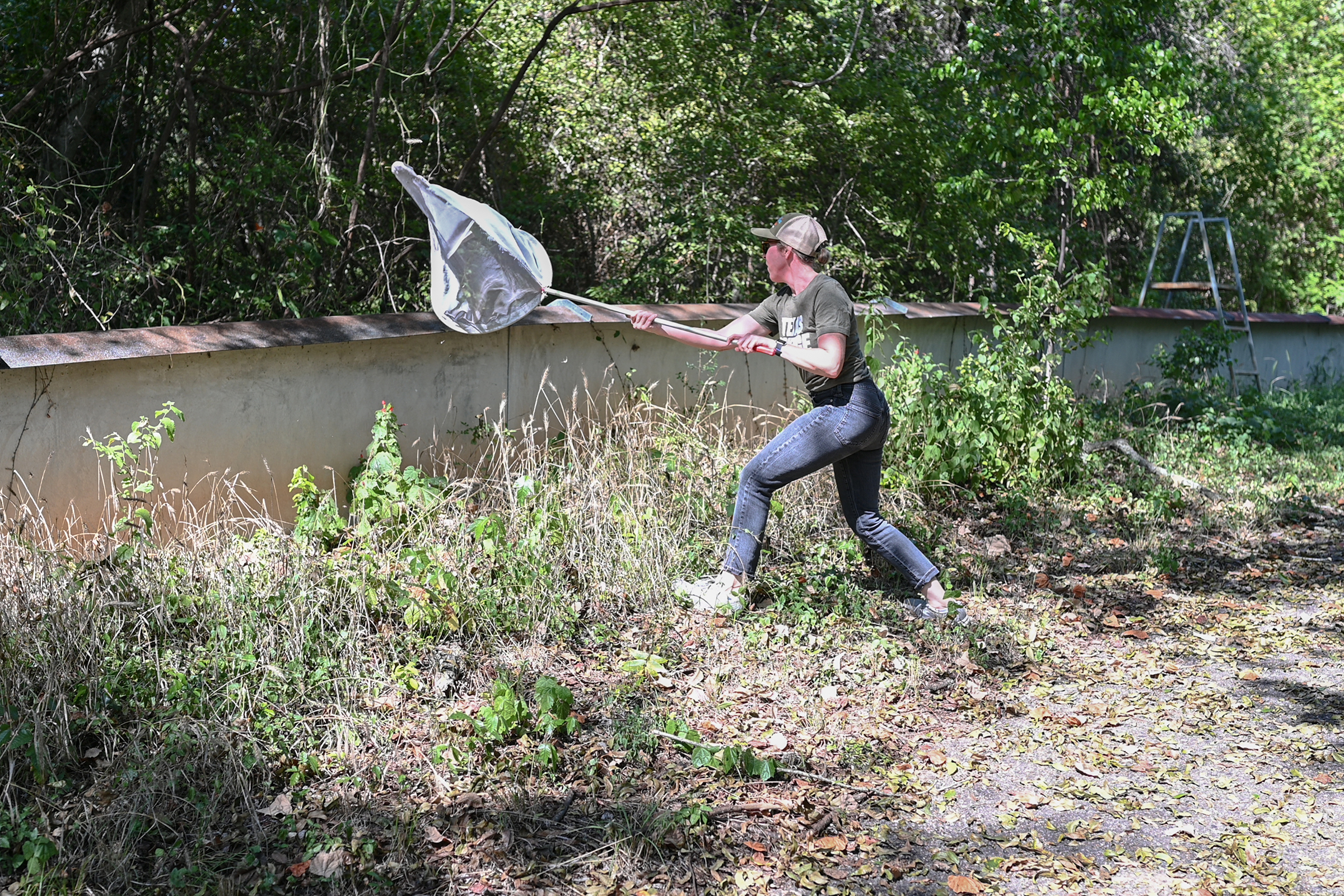 A photo of an instuctor collecting insect specimens using a butterfly net at Brackenridge Field Laboratory
