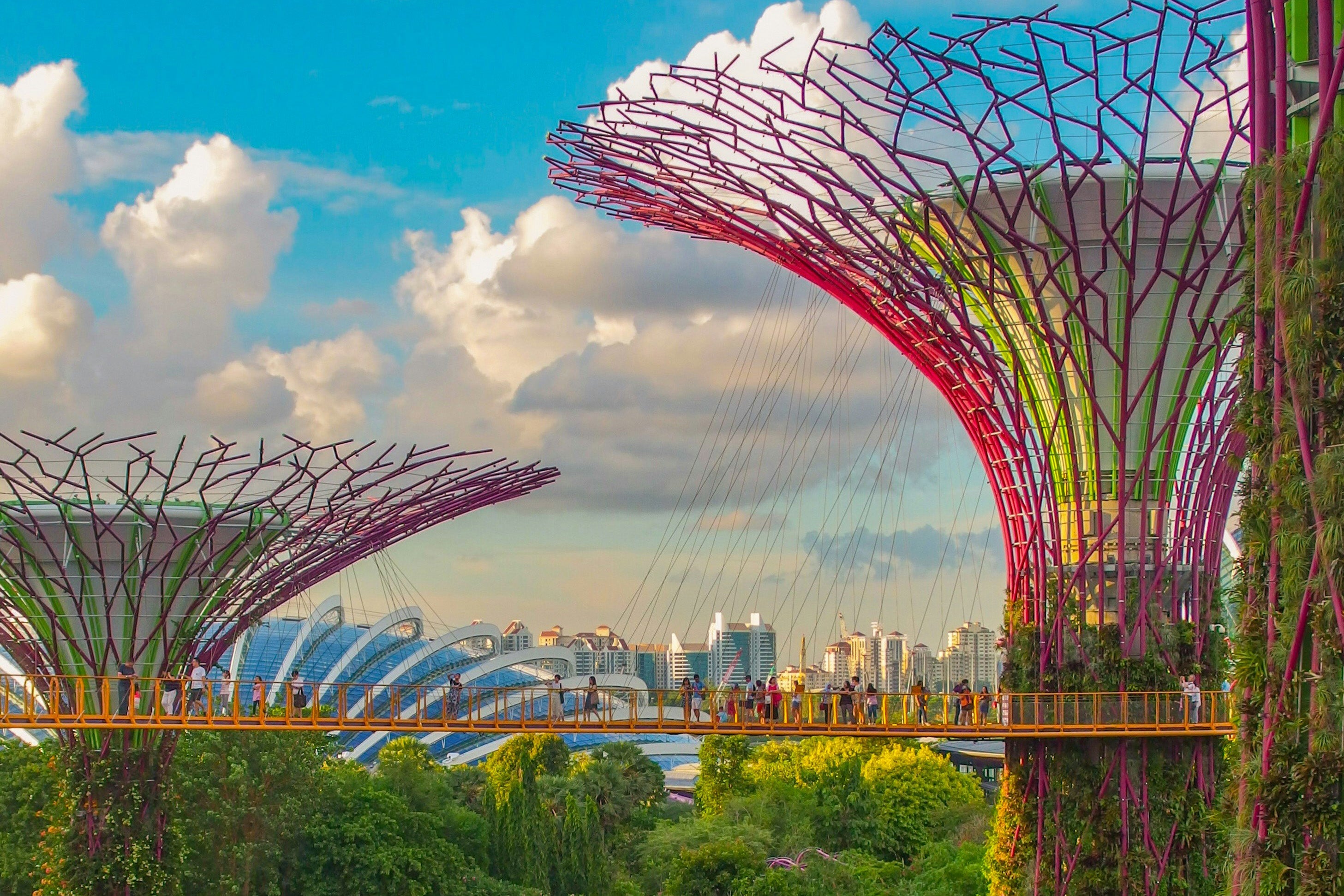 A wide shot of pink tree sculptures in Singapore