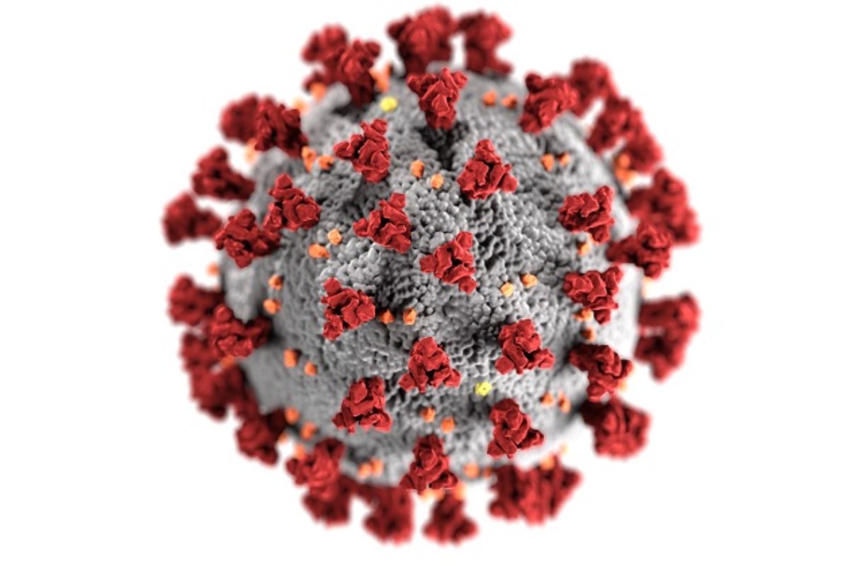 Artist rendering of a magnified coronavirus 