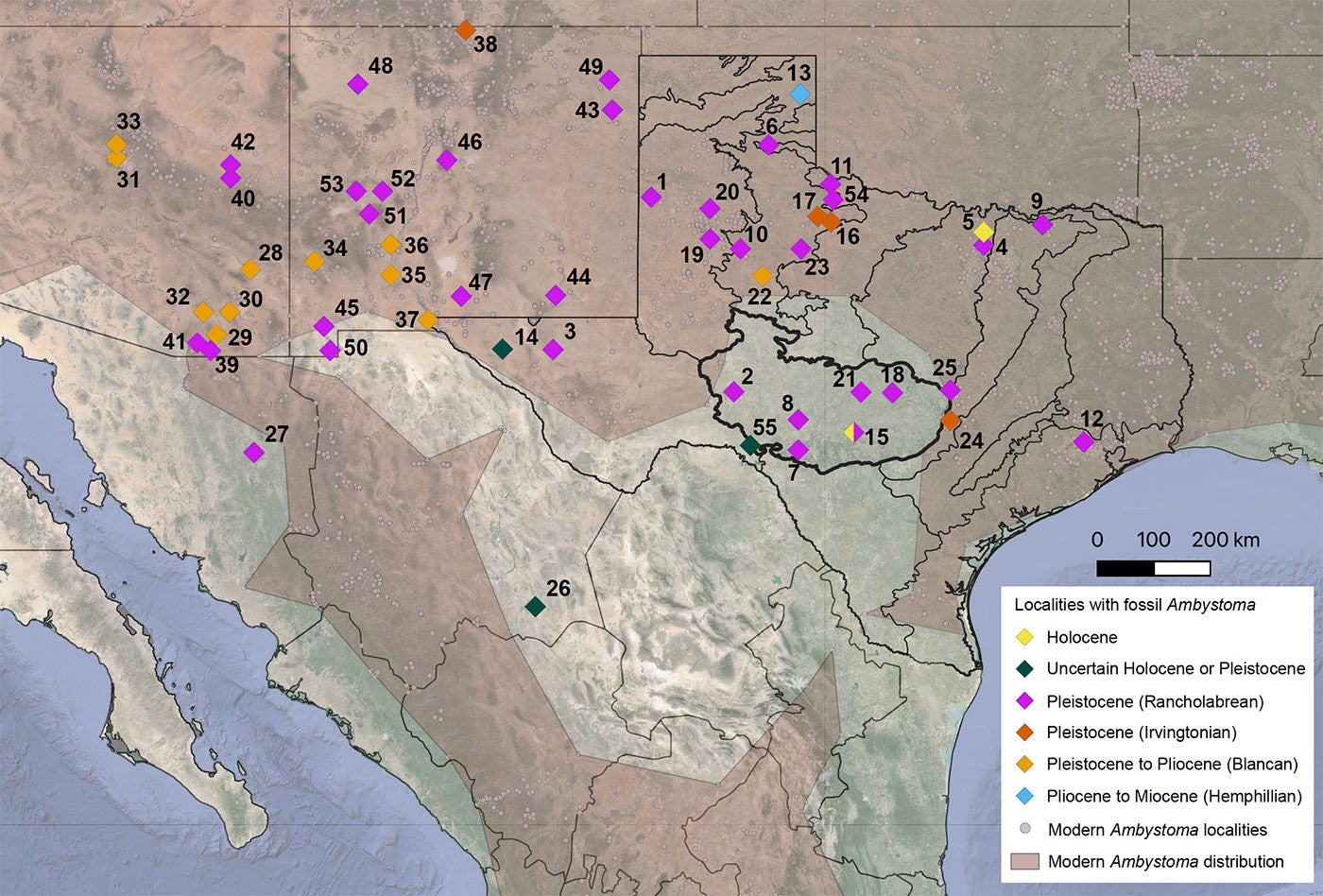 Map of localities with Ambystoma fossils during different points in time.