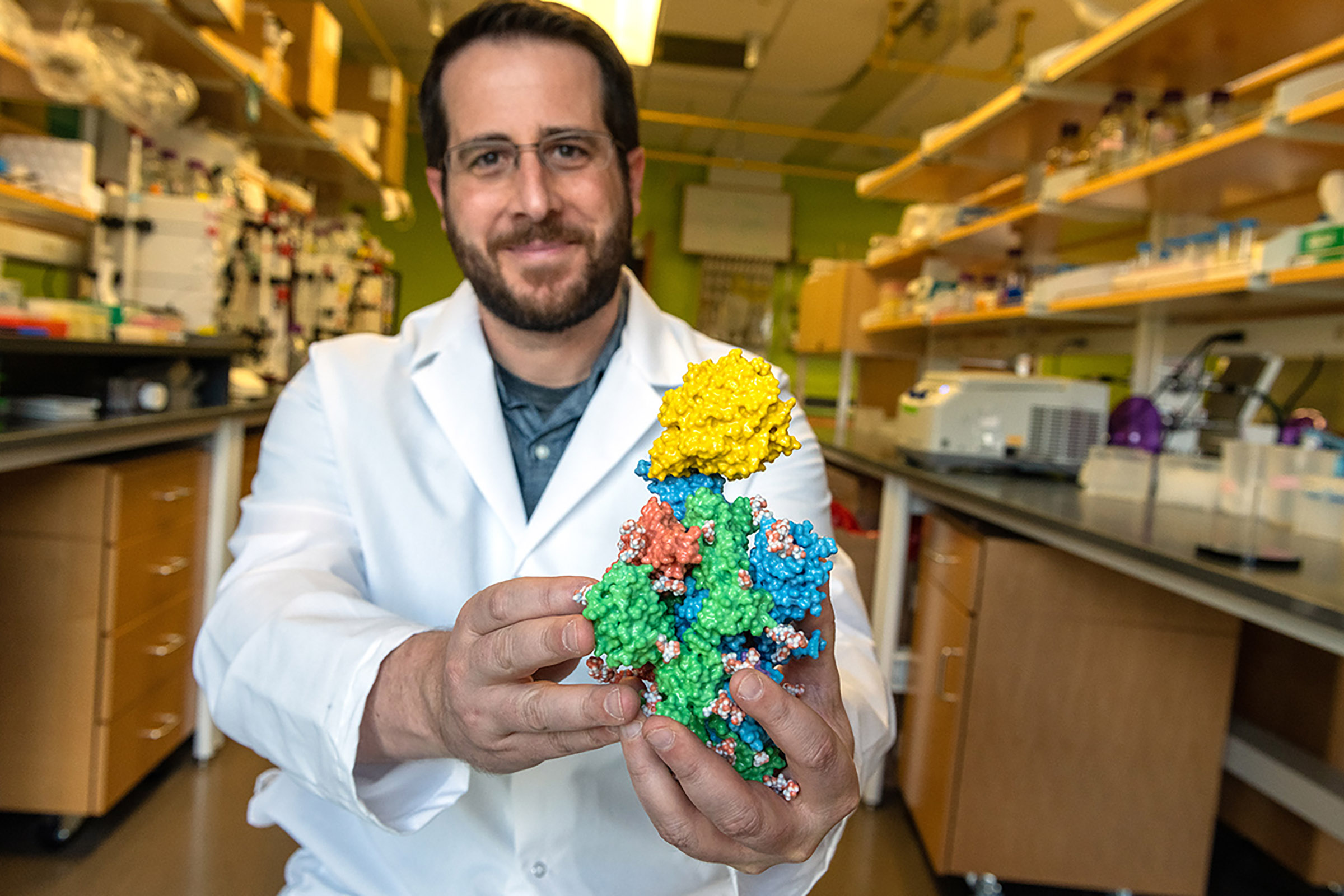 A man in a white lab coat holds a model of a viral protein