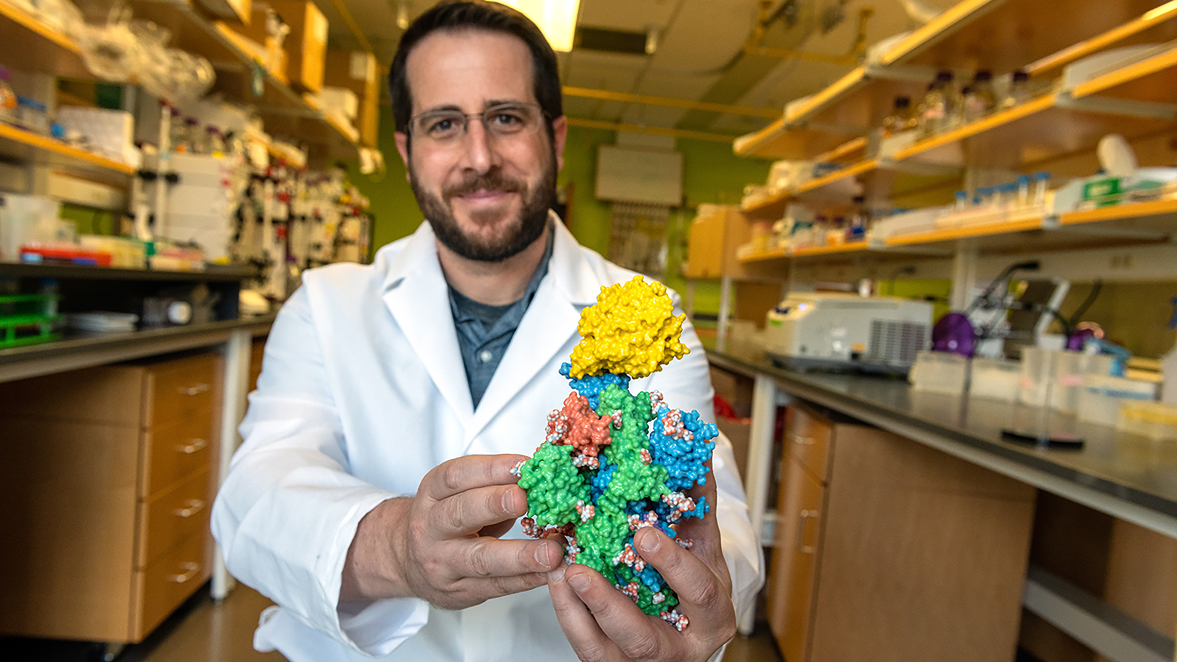 A man in white lab coat holds a three dimensional model of a viral protein and an antibody attached