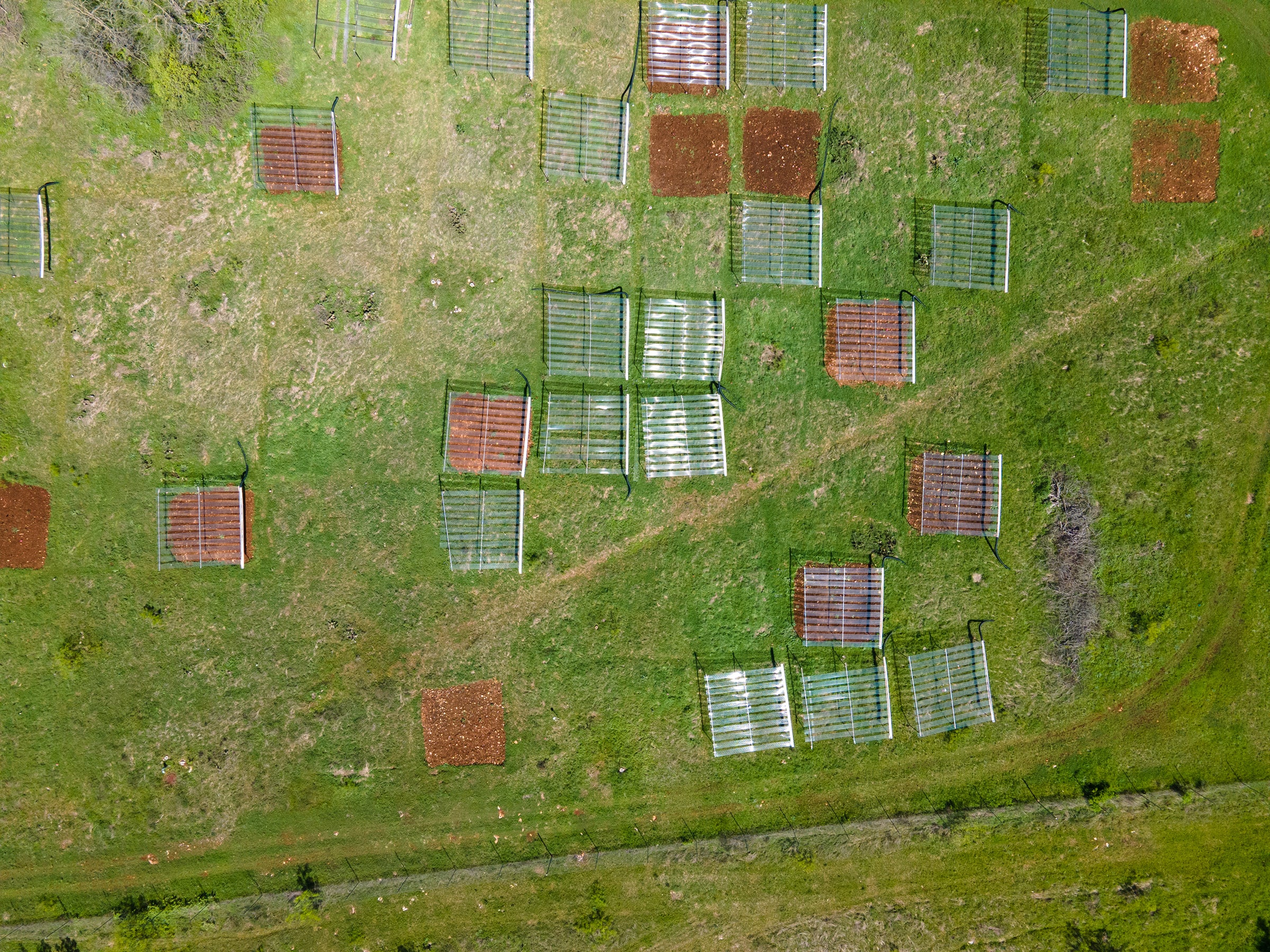 View from above a grassland with several rain-out shelters at the Lady Bird Johnson Wildflower Center.