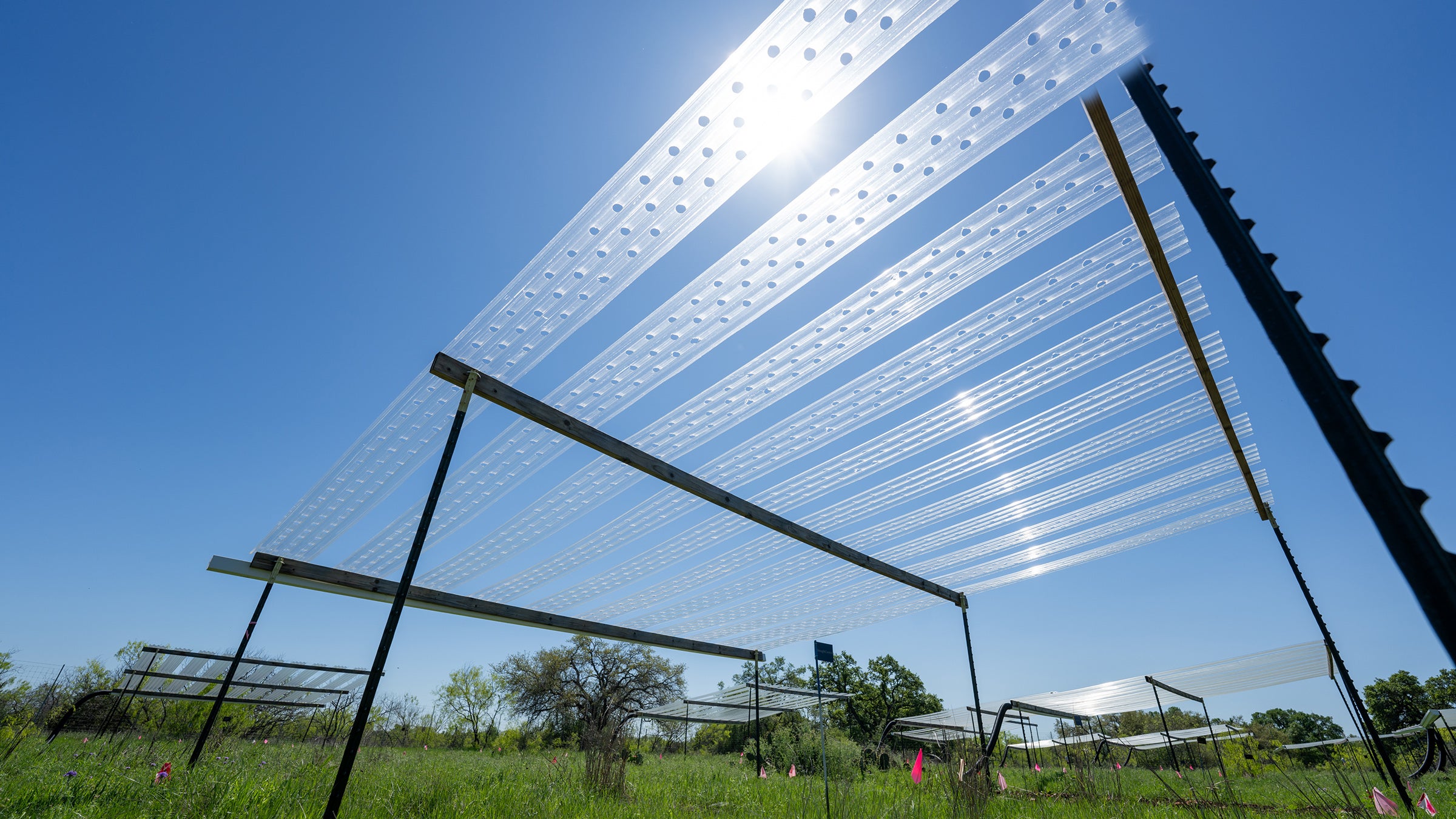 A rain-out shelter at the Lady Bird Johnson Wildflower Center. It consists of clear plastic strips supported by metal arms and legs several feet above a plot of open grassland.