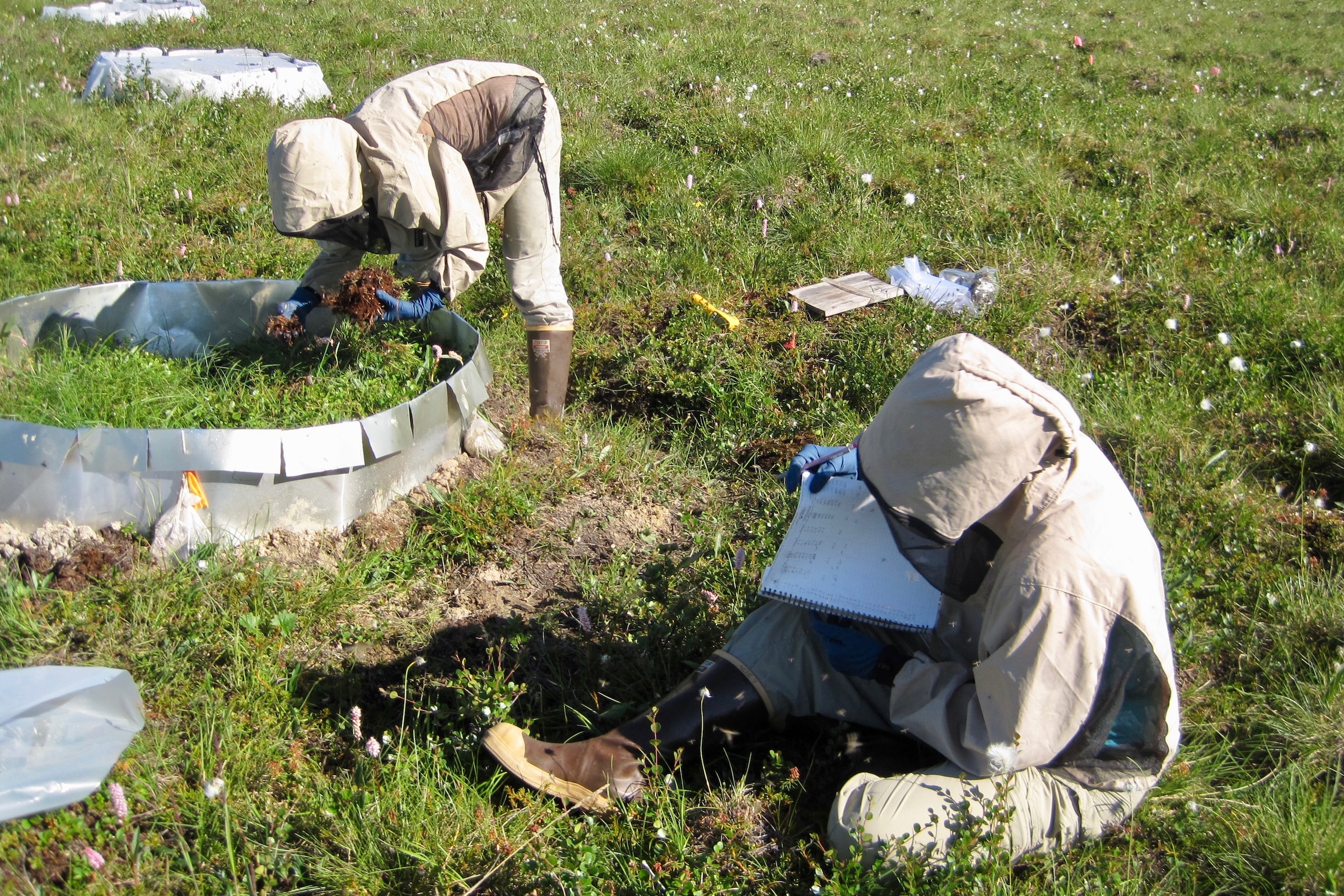 One scientist in protective clothing against insects leans over a metal circle in a grassy area, while another dressed similarly taking notes seated in the grass nearby
