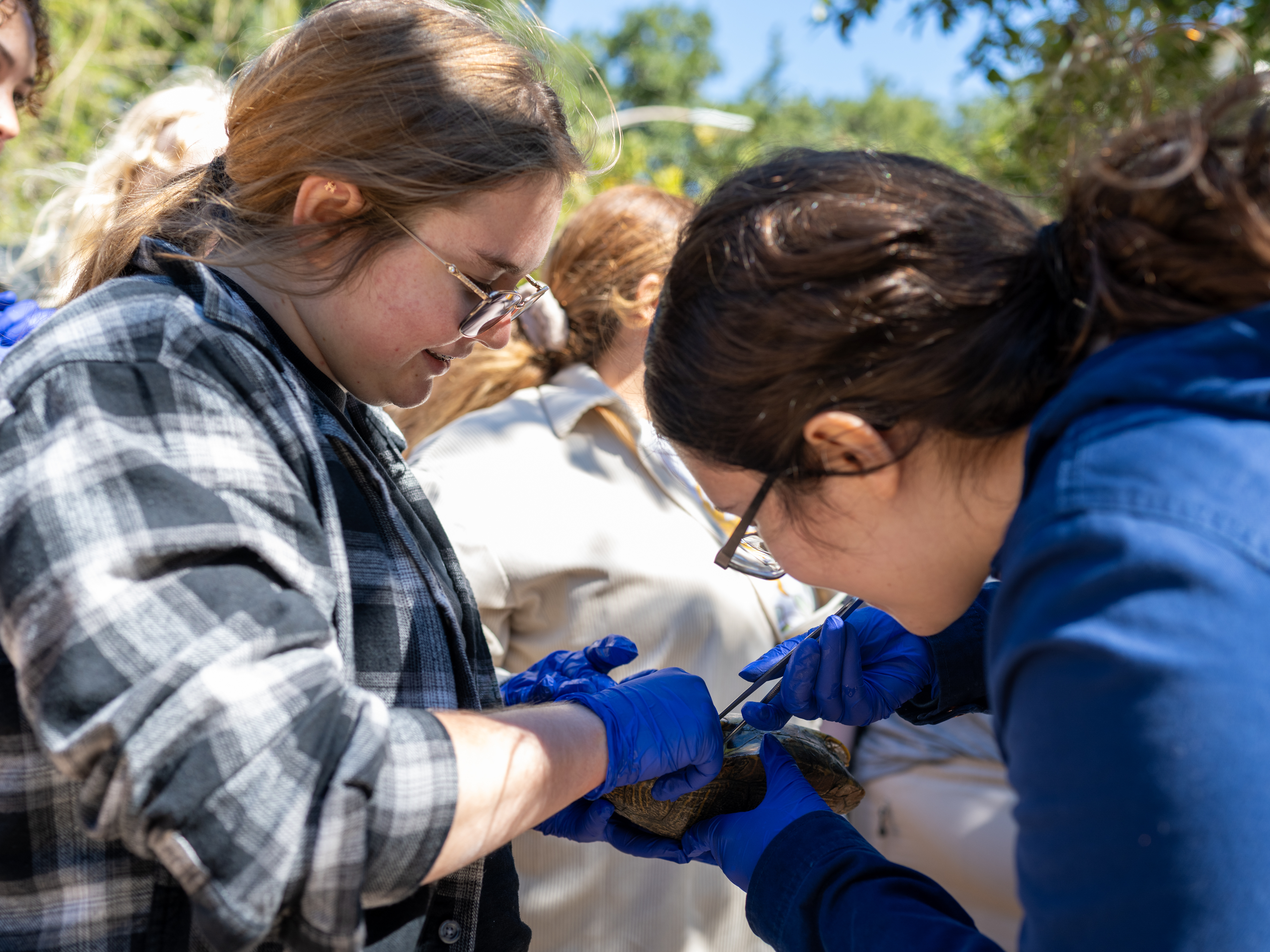 Students gathered at the turtle pond as part of an ongoing research project.