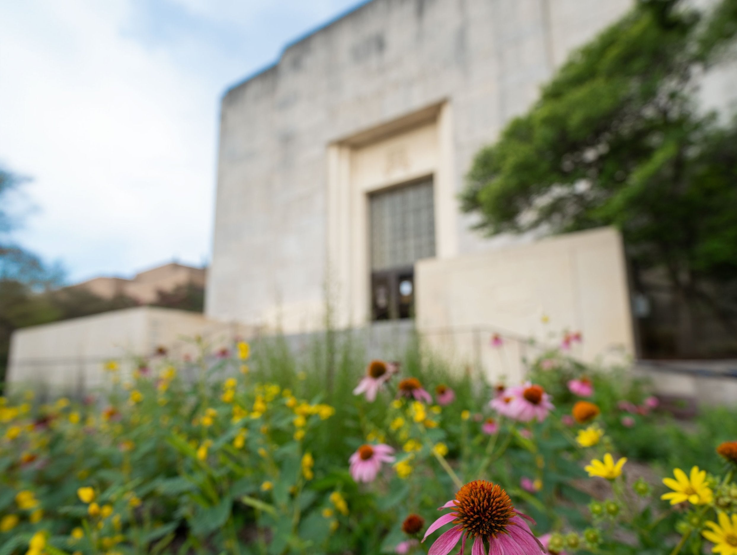 A limestone building is surrounded by a wildflower garden.